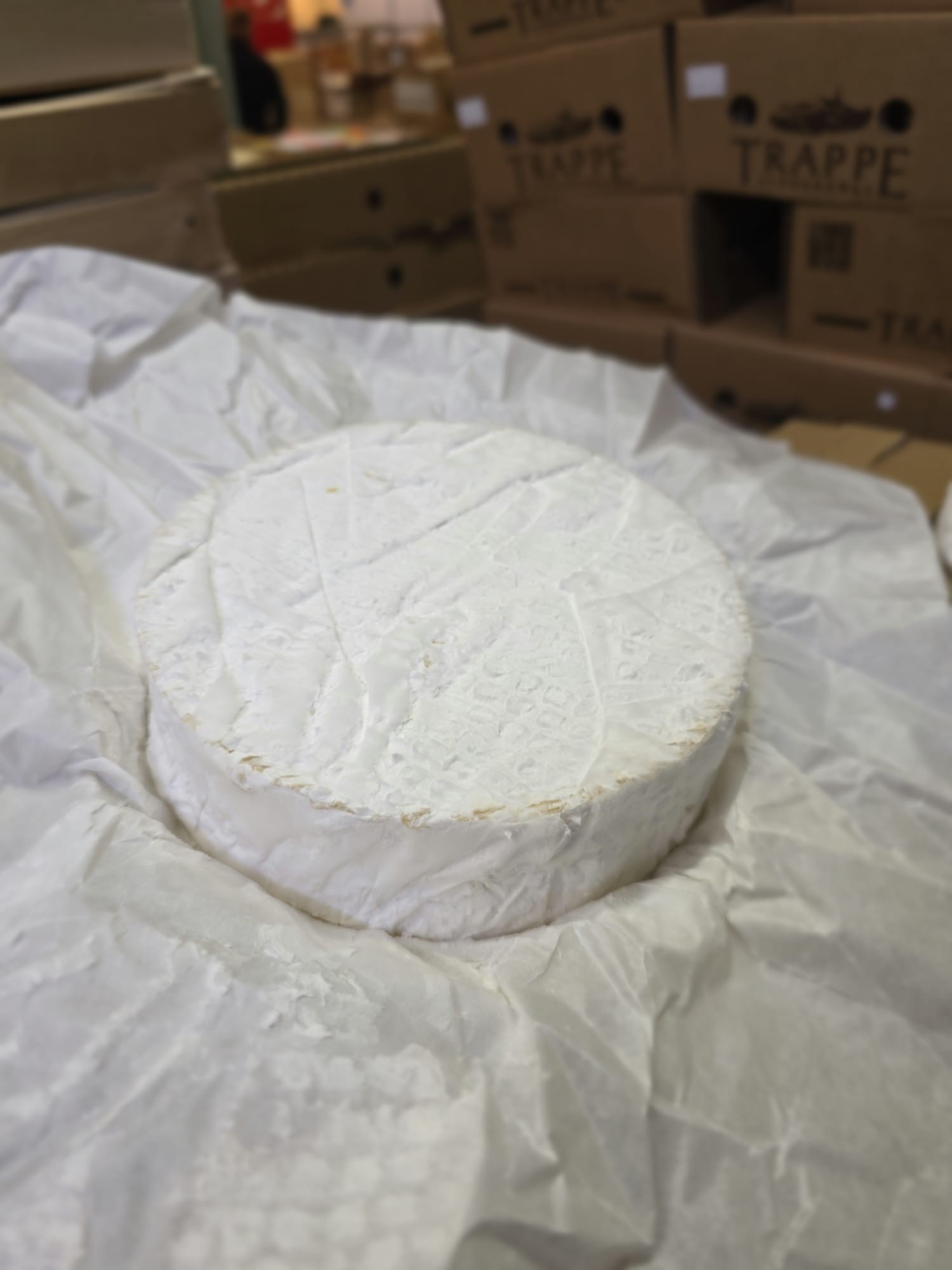 Coulommier lait cru - Fromagerie Brie de Saint Rémy