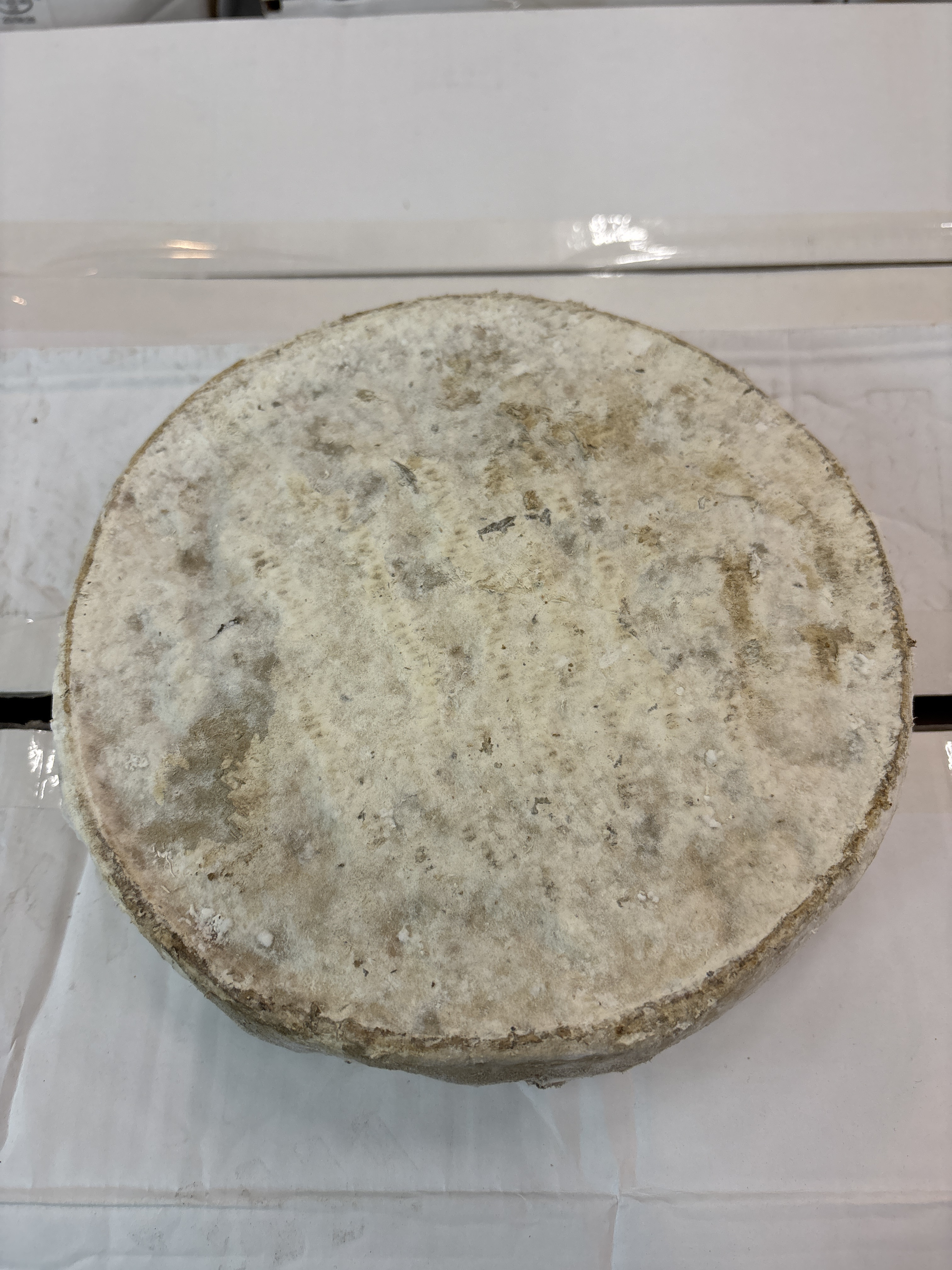 Tomme au lait cru