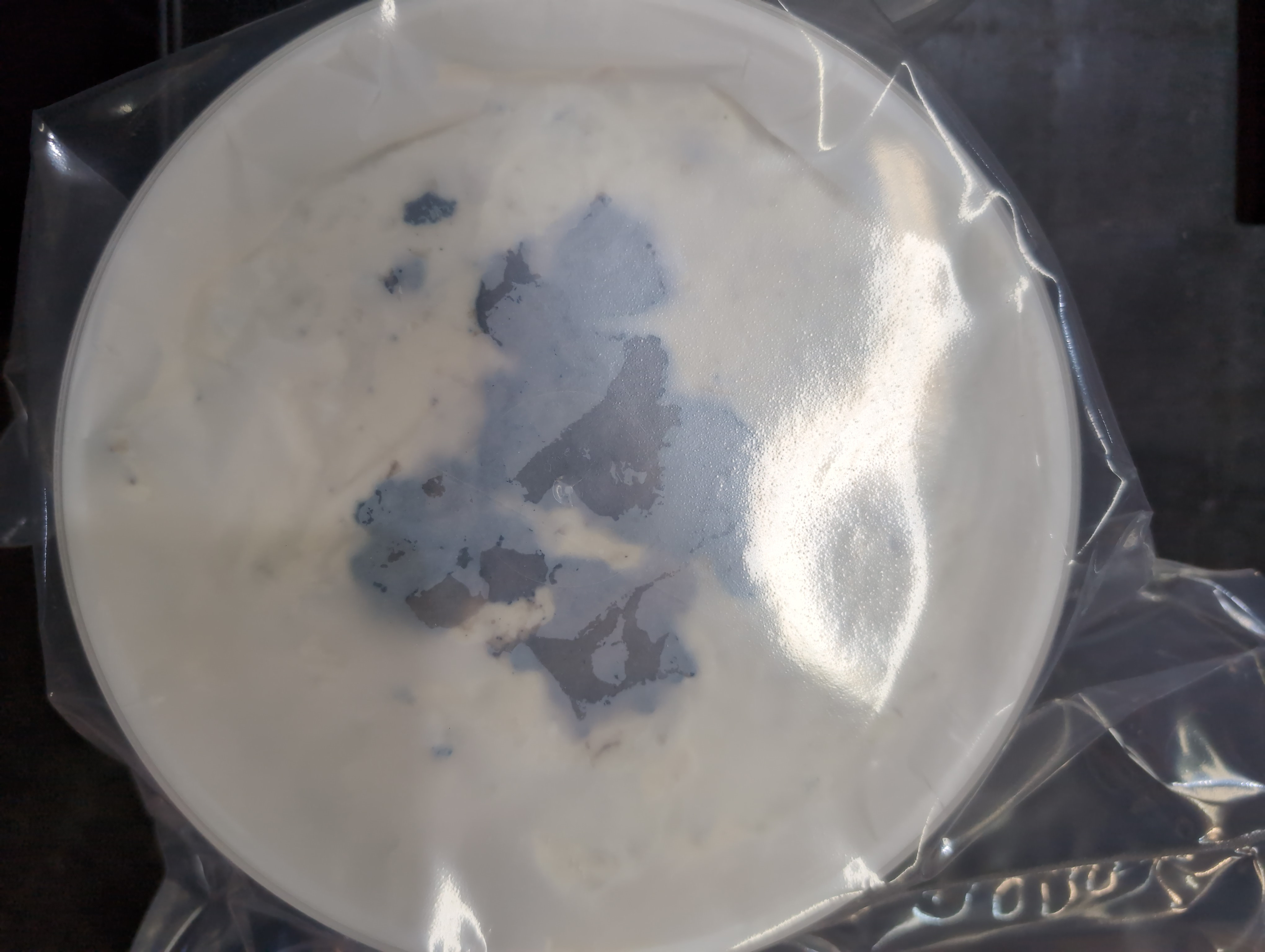 Gorgonzola sans croute a la truffe