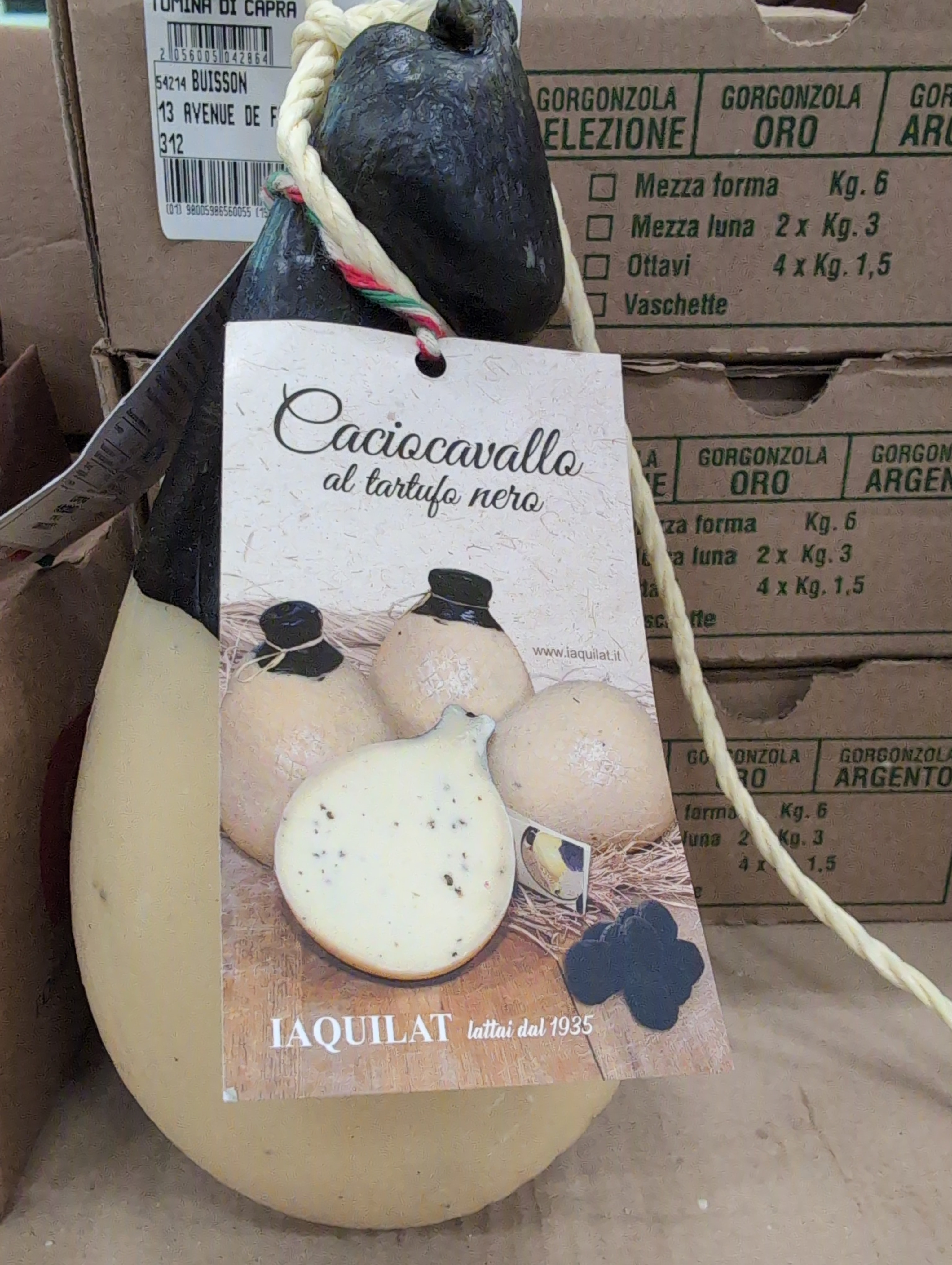 Caciocavallo a la truffe noir