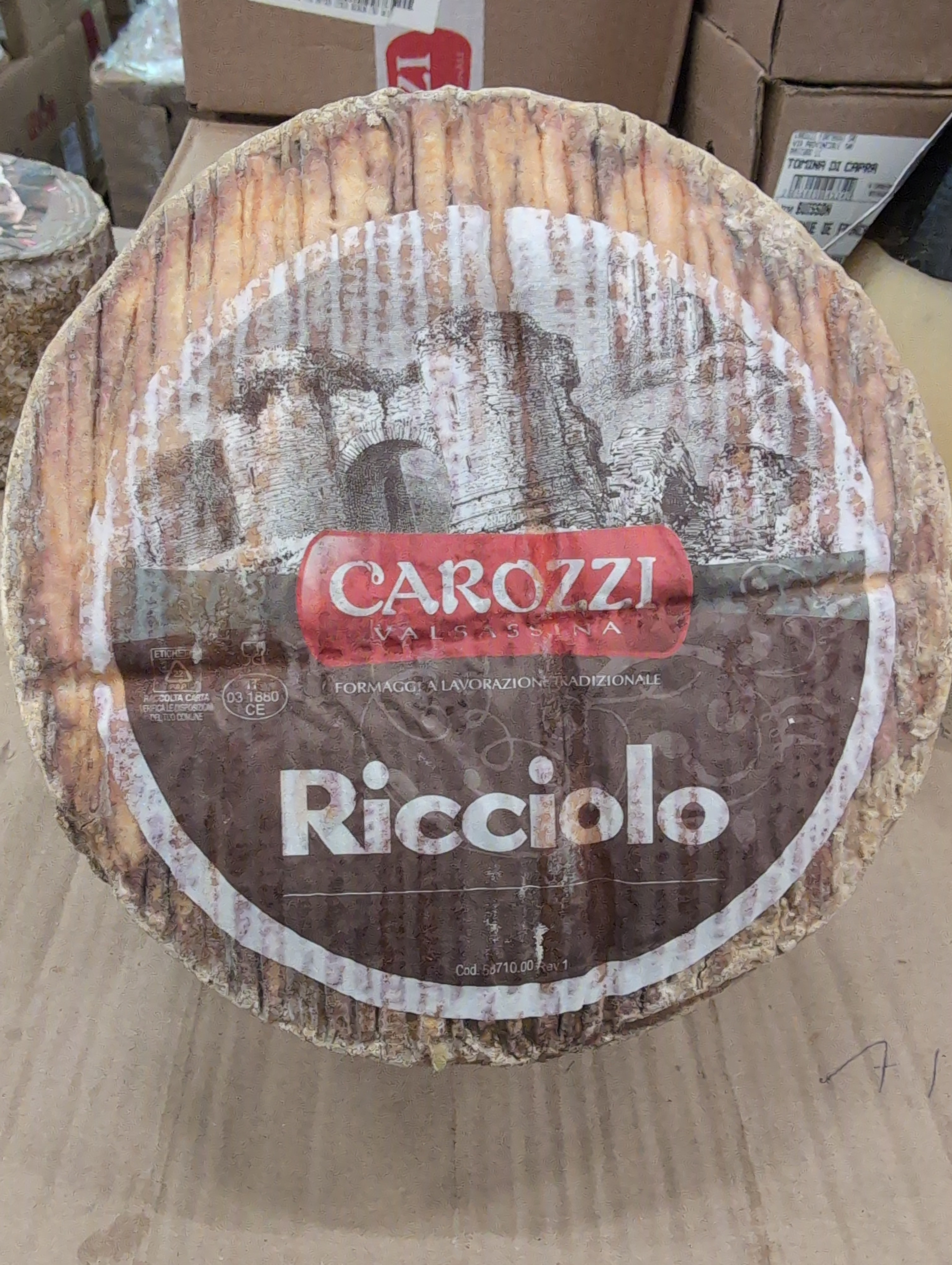 Ricciolo