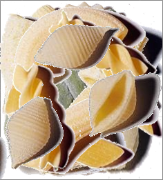 Conchiglie
