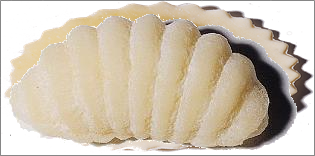 Gnocchi de pomme de terre