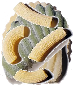 Maccherini (2x2.0kg)