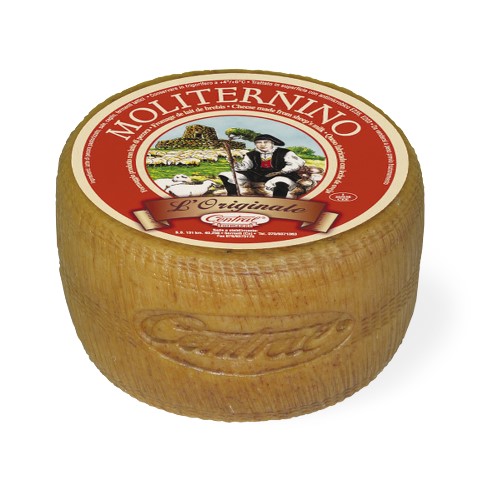 Moliterno petit modèle