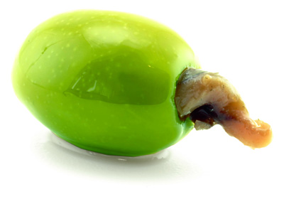 Olive farcie thon - Castellino ralo