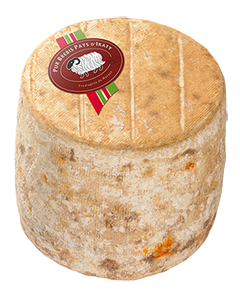 Tomette de brebis