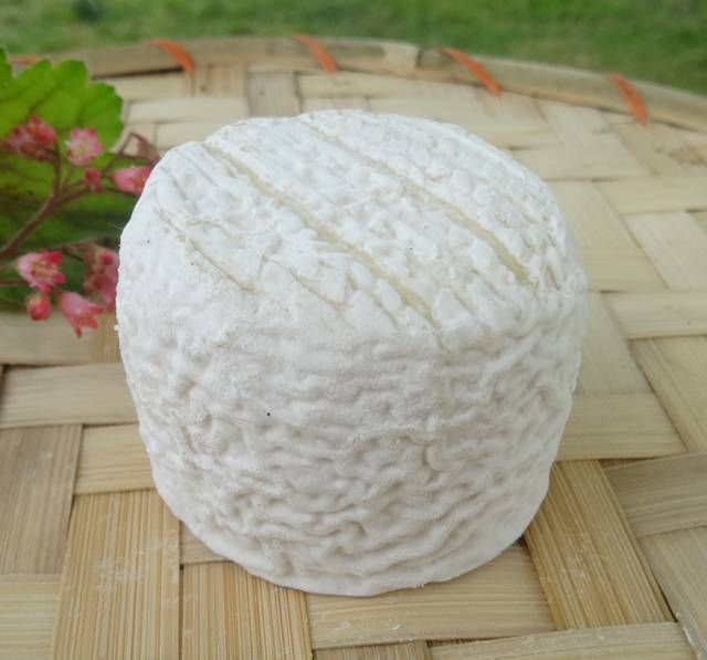 Crottin de Chèvre Fermier 60g (12x60g)