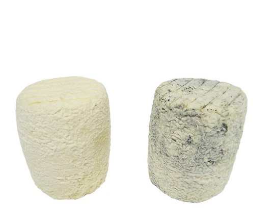 Chabis blanc - Chemin Fleury (département des Deux Sèvres) (15x150g)