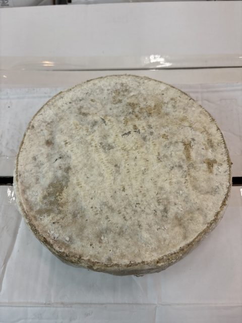 Tomme au lait cru
