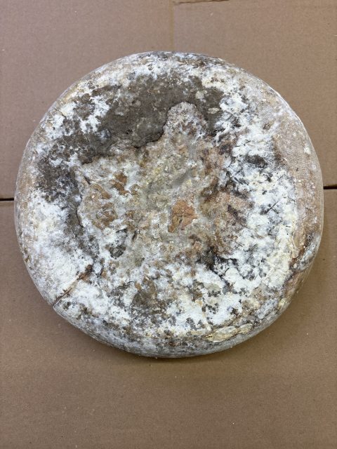 Doline pur brebis