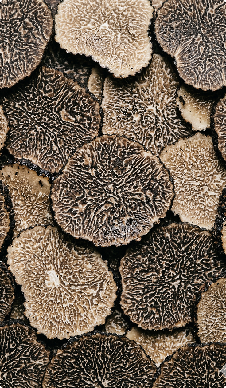 Produits Truffés