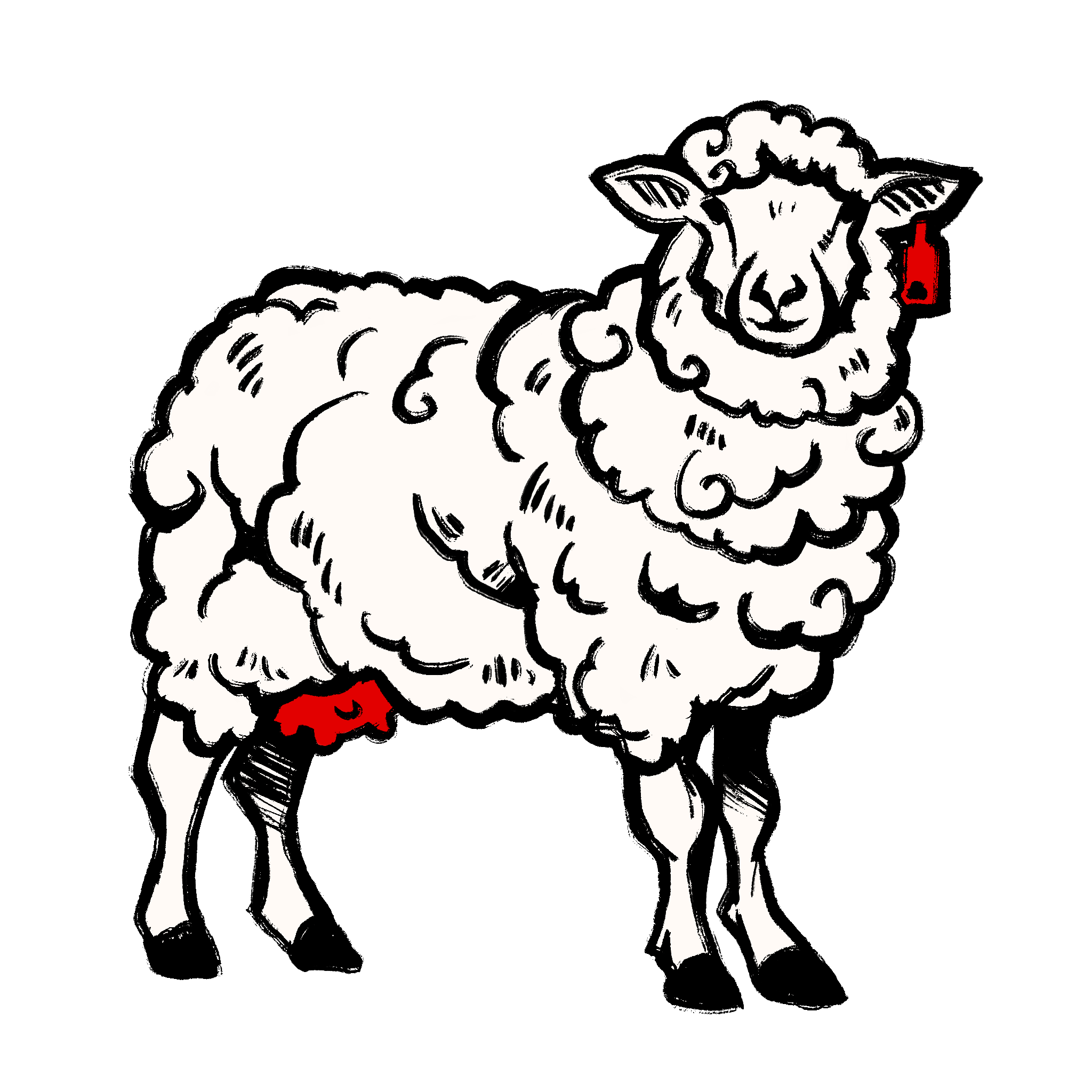 Brebis