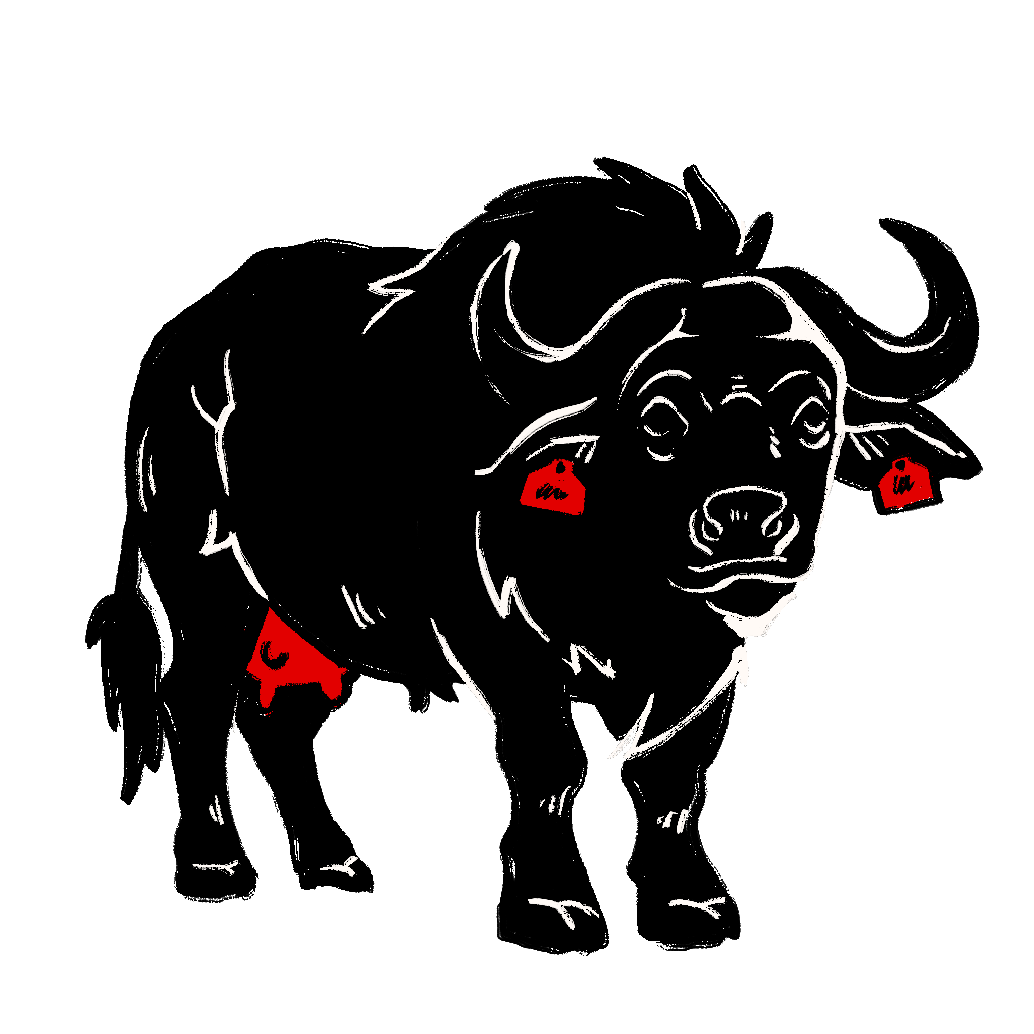 Bufflonne