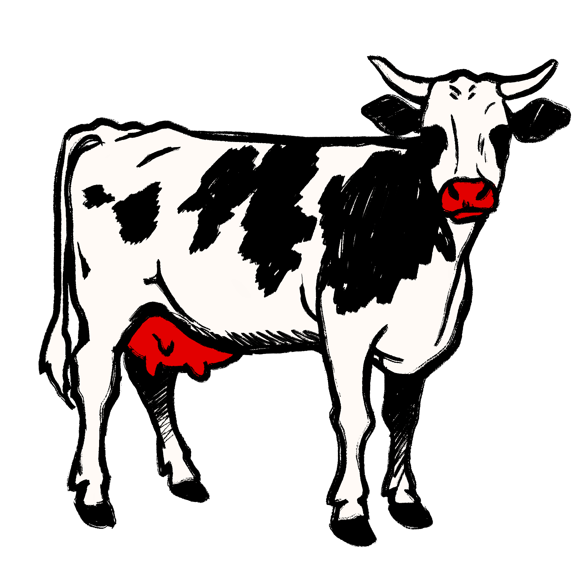 Vache