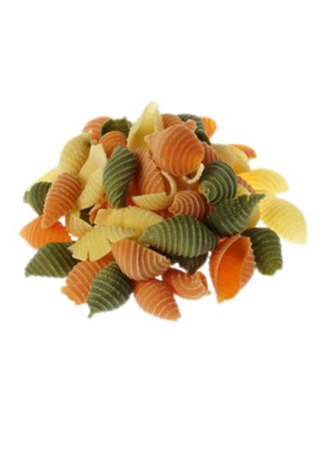 Conchiglie tricolore