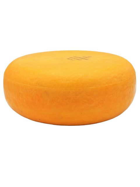 Gouda nature