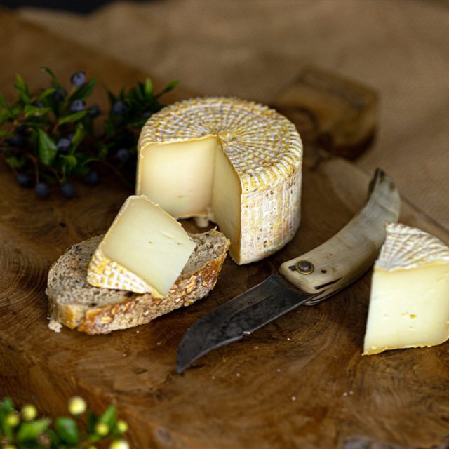 Tommette de brebis ottavi