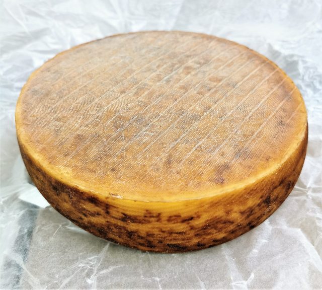 Trappe d'echourniac grand modele