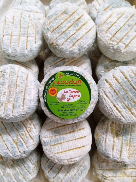 Picodon AOP - Fromagerie pozin (département de la drôme) (15x60g)
