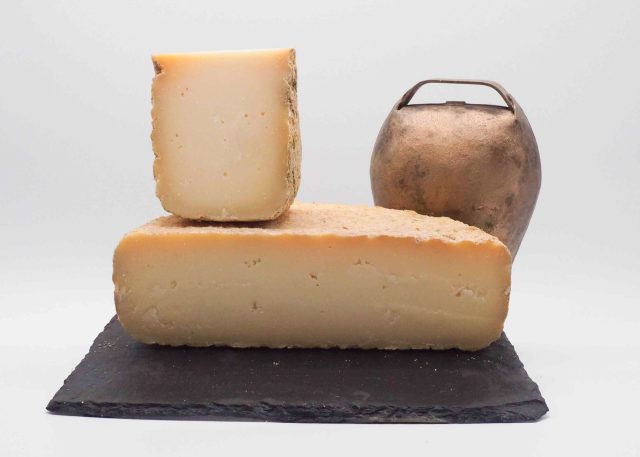 "HERCULE" Pyrénées vieux mixte brebis/chèvre 