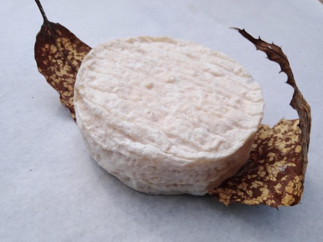 Mothais sur feuille AOP - Fromagerie des Gors (département des Deux Sèvres) (12x180g)